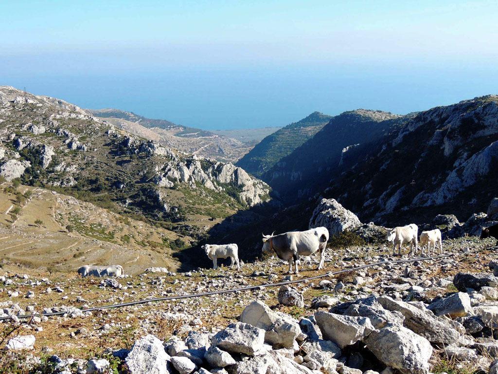 B&B Angela Monte SantʼAngelo Εξωτερικό φωτογραφία